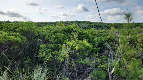 Entrance To Hawks Road Cat Island BS