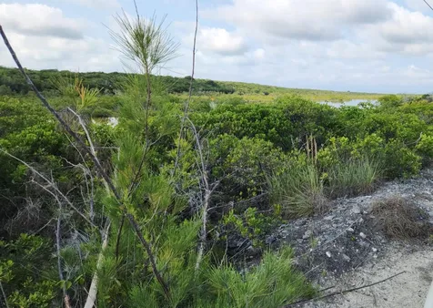 Entrance To Hawks Road Cat Island BS
