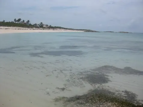 Beachfront Long Island Bahamas Long Island BS