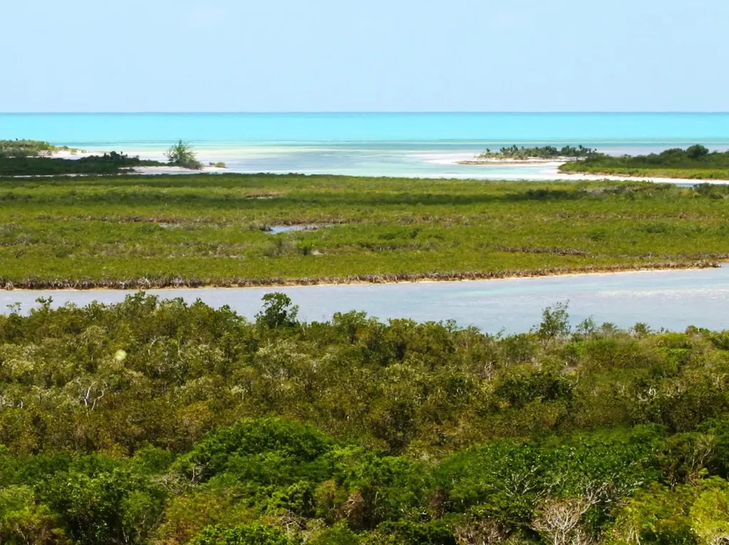 Alba Drive Exuma BS