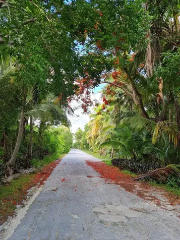 Lot 2, Block 4, Section 2 Abaco BS