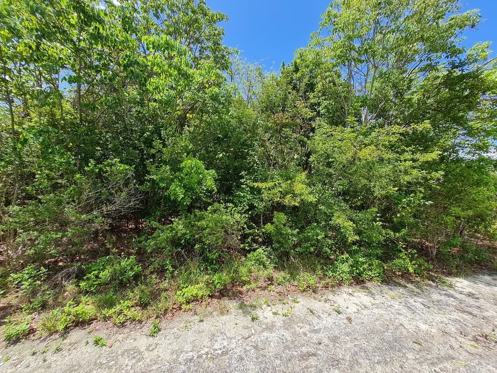 Lot 5, Block 4, Section 2 Abaco BS