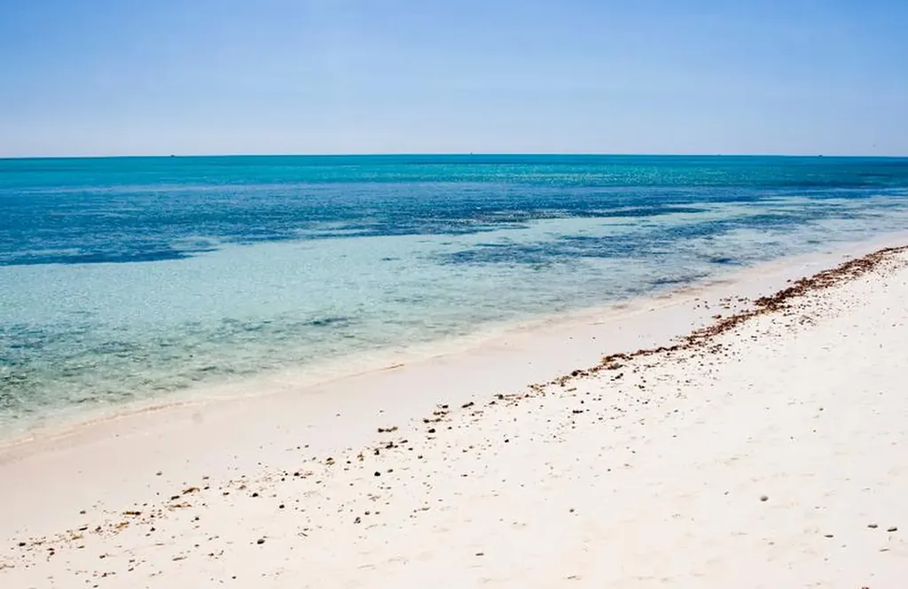 Shoreline Development Grand Bahama Freeport BS