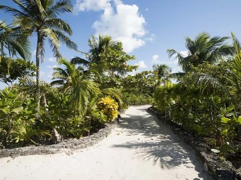 The Reach Abaco BS