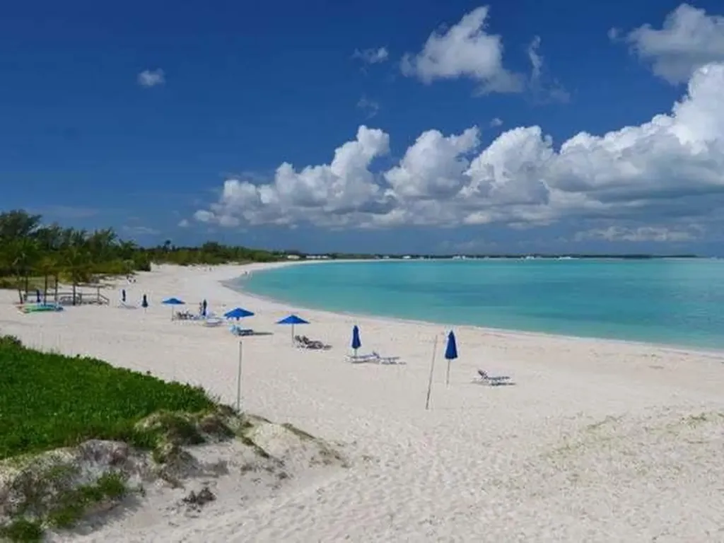 Sandy Butts & Coconuts Abaco BS
