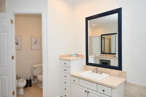 Sandy Butts & Coconuts Abaco BS