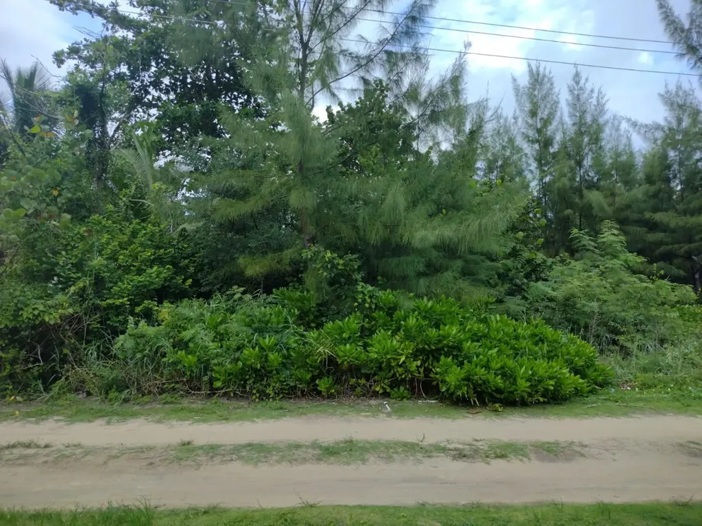 Staniard Creek Andros BS