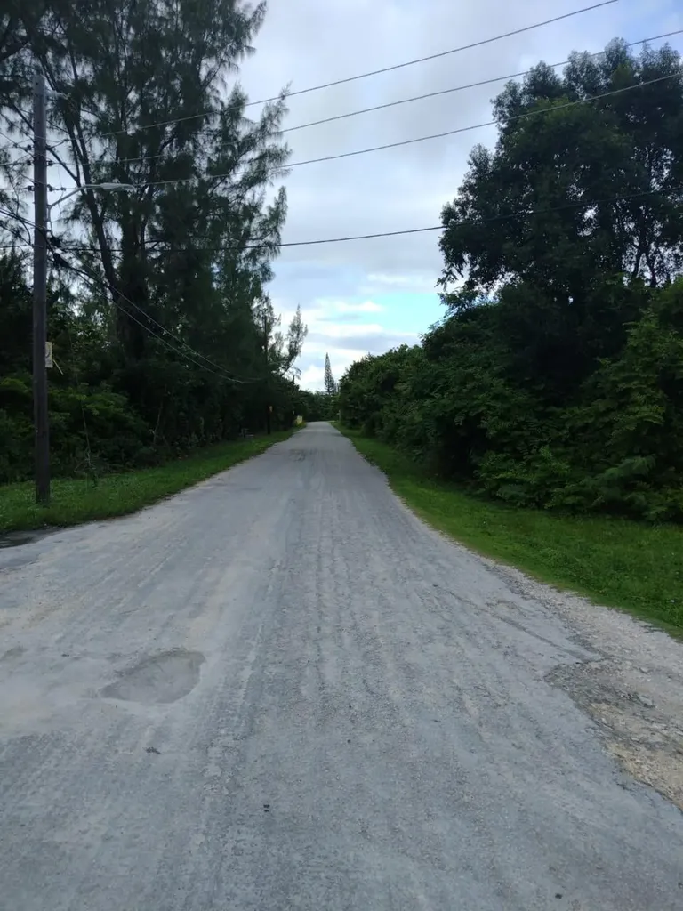 Staniard Creek Andros BS