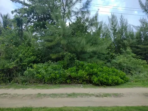 Staniard Creek Andros BS