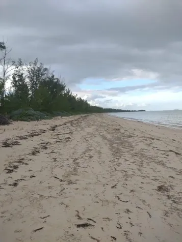 Staniard Creek Andros BS