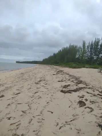 Staniard Creek Andros BS