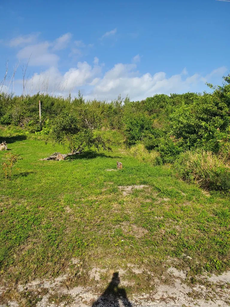 John Franklyn Key Drive Abaco BS