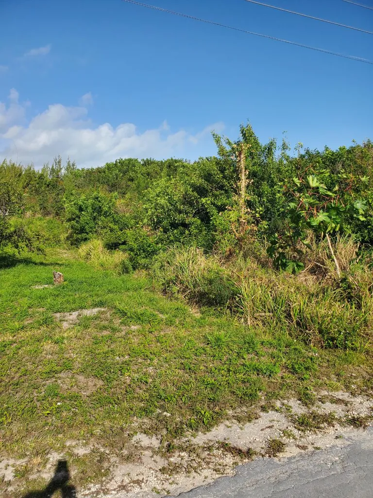 John Franklyn Key Drive Abaco BS