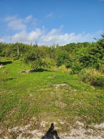 John Franklyn Key Drive Abaco BS