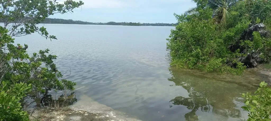 Lake Cunningham Estates L New Providence Paradise Island BS