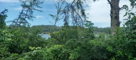 Lake Cunningham Estates L New Providence Paradise Island BS