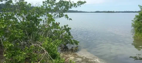 Lake Cunningham Estates L New Providence Paradise Island BS