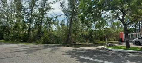 Lake Cunningham Estates L New Providence Paradise Island BS