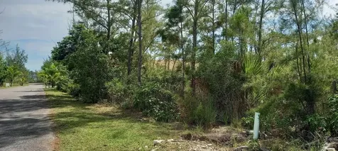 Lake Cunningham Estates L New Providence Paradise Island BS
