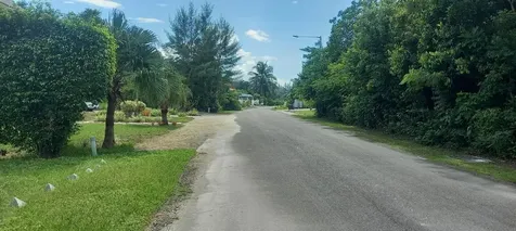 Lake Cunningham Estates L New Providence Paradise Island BS