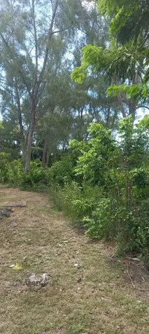 Lake Cunningham Estates L New Providence Paradise Island BS