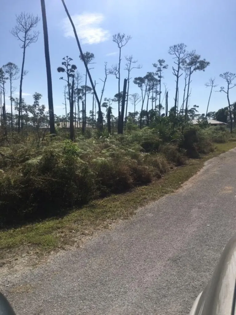 Plumtree Road 5 Grand Bahama Freeport BS