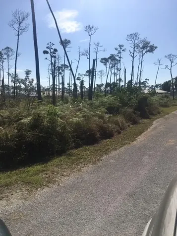 Plumtree Road 5 Grand Bahama Freeport BS