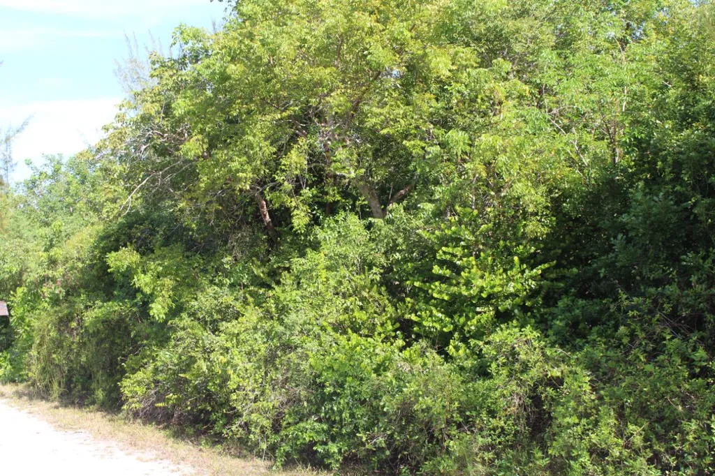 Casuarina Drive 19 Abaco BS