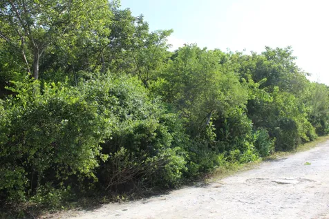 Casuarina Drive 19 Abaco BS