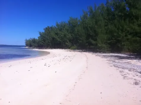 Whale Point Boat House Eleuthera BS