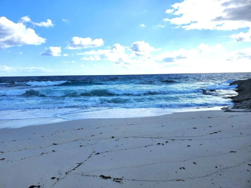 2 Acres In Millerton's Long Island BS