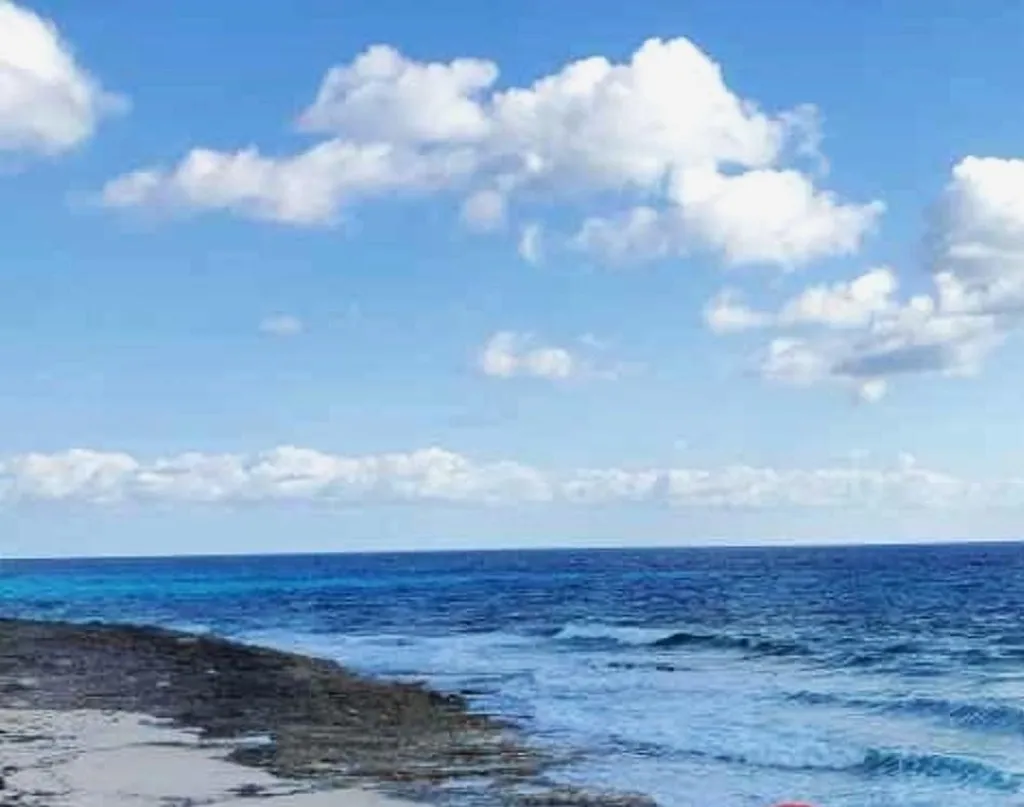 2 Acres In Millerton's Long Island BS