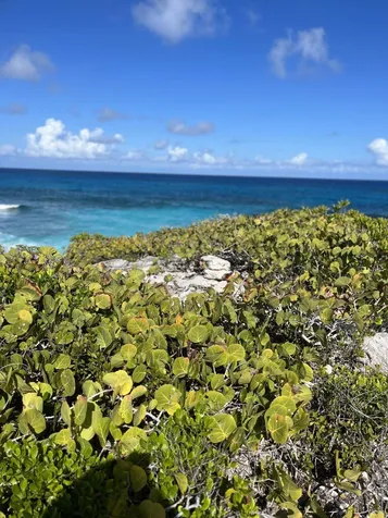 2 Acres In Millerton's Long Island BS