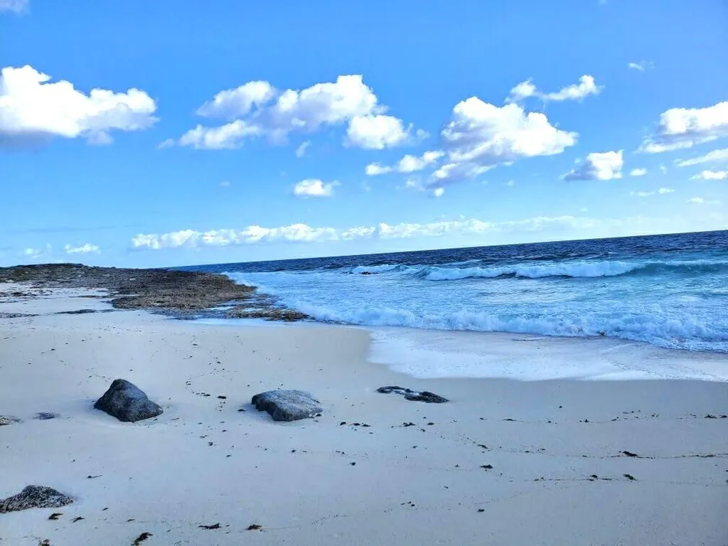 2 Acres In Millerton's Long Island BS