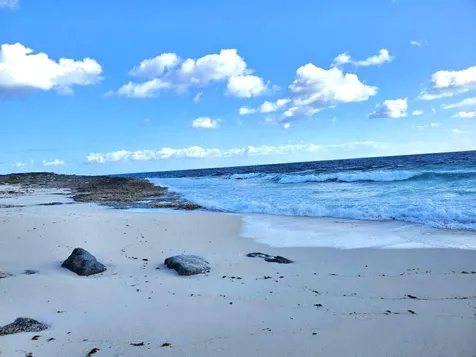 2 Acres In Millerton's Long Island BS