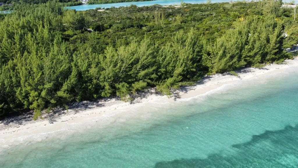 Staniard Creek, Andros Andros BS