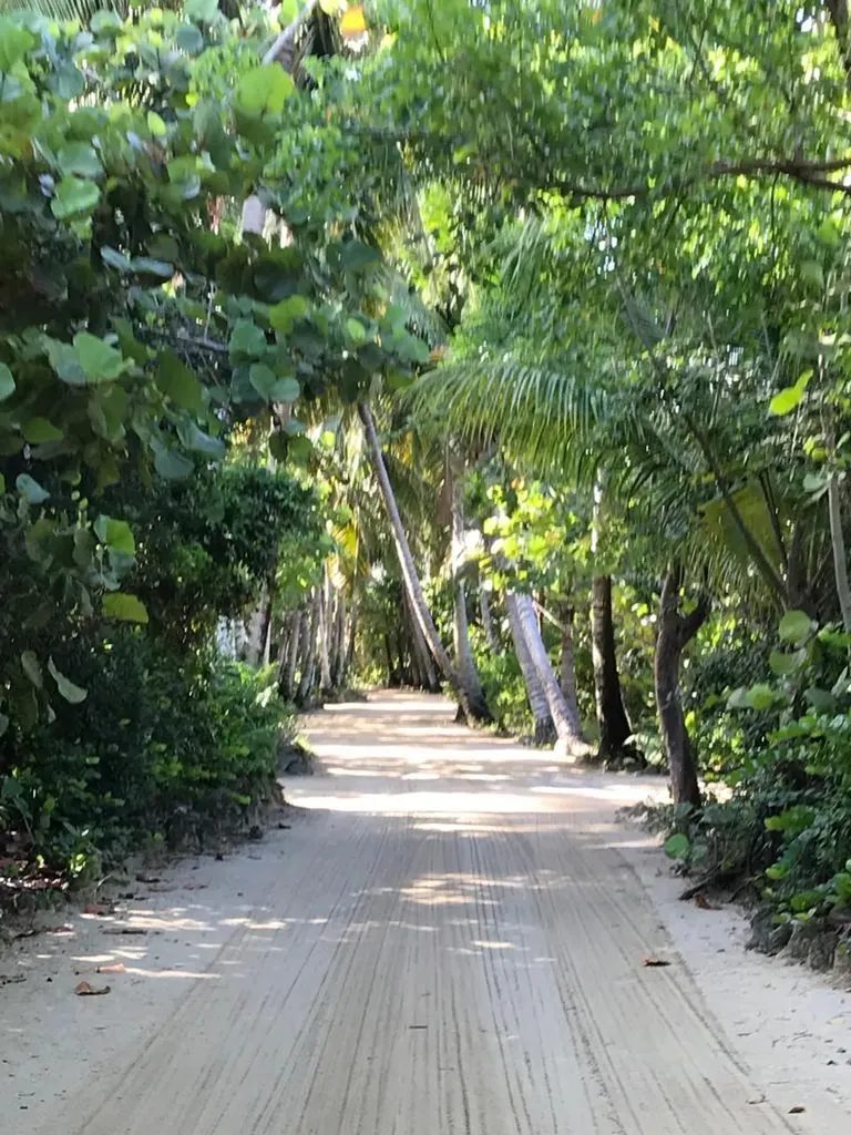Staniard Creek, Andros Andros BS