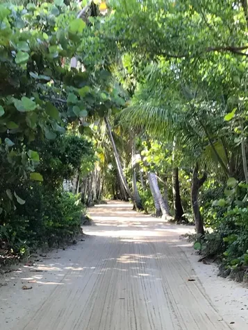 Staniard Creek, Andros Andros BS