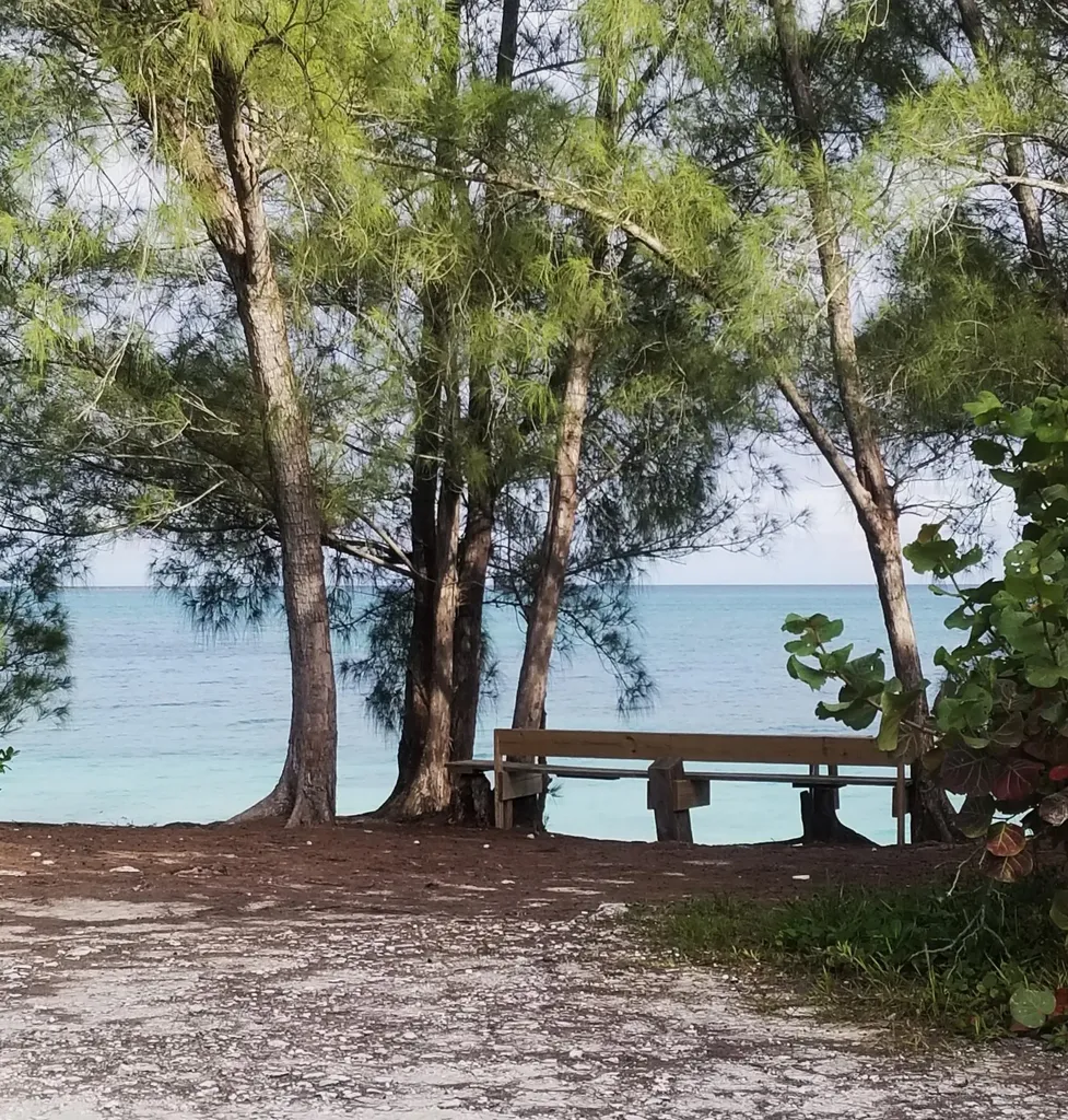 Bahama Palm Shores Abaco BS