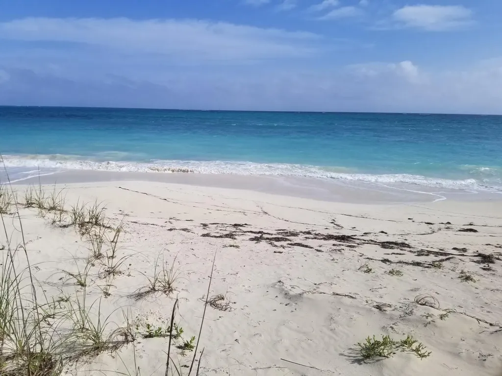 Bahama Palm Shores Abaco BS