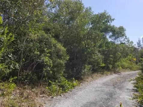 Bahama Palm Shores Abaco BS