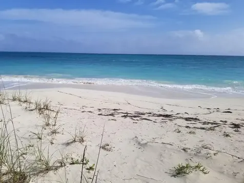 Bahama Palm Shores Abaco BS