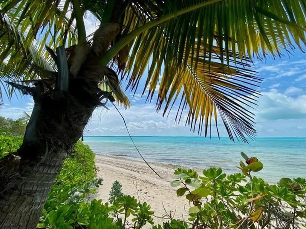 Rock Shore Eleuthera BS