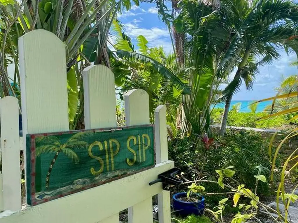 Rock Shore Eleuthera BS