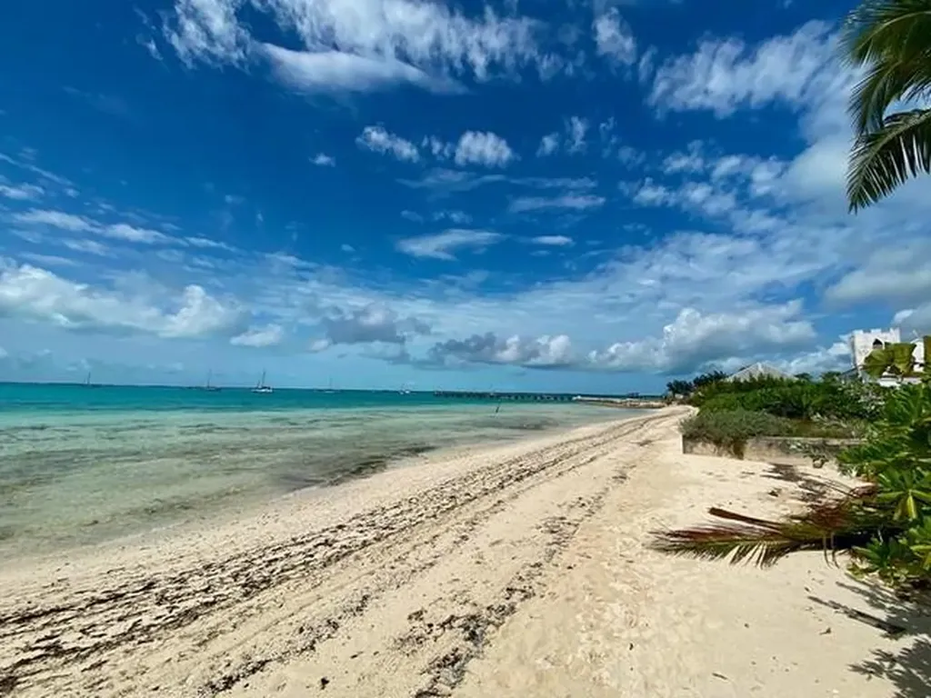 Rock Shore Eleuthera BS