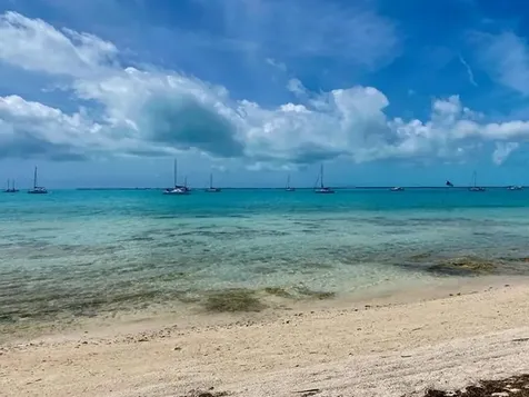 Rock Shore Eleuthera BS