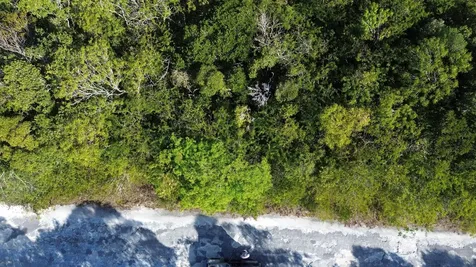 Bahama Sound Exuma BS