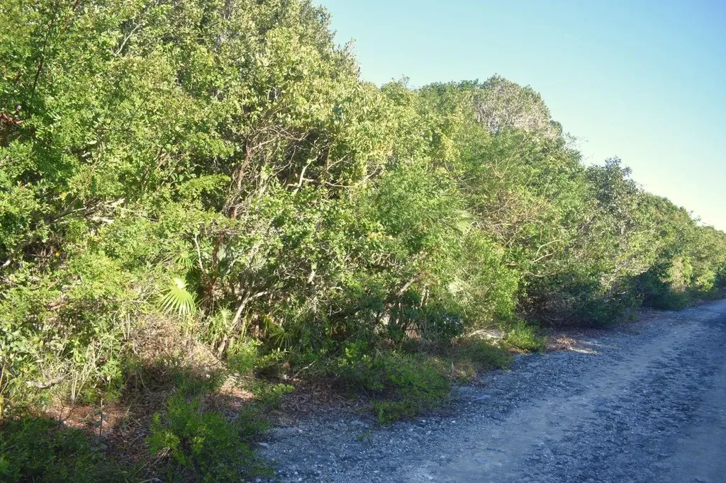 Whale Point Estates Eleuthera BS