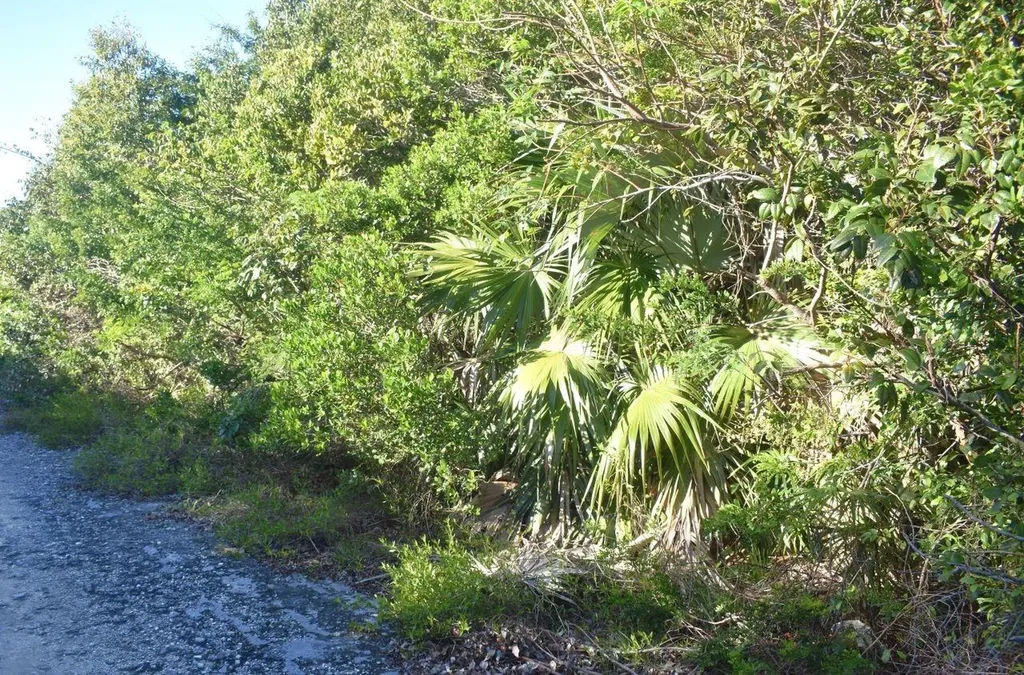Whale Point Estates Eleuthera BS