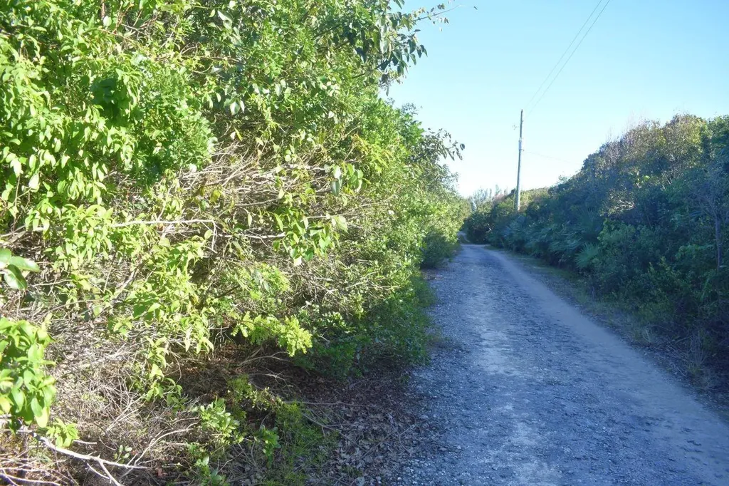 Whale Point Estates Eleuthera BS